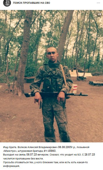 Volkov Aleksey Vladimirovich