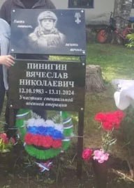 Пинигин Вячеслав Николаевич