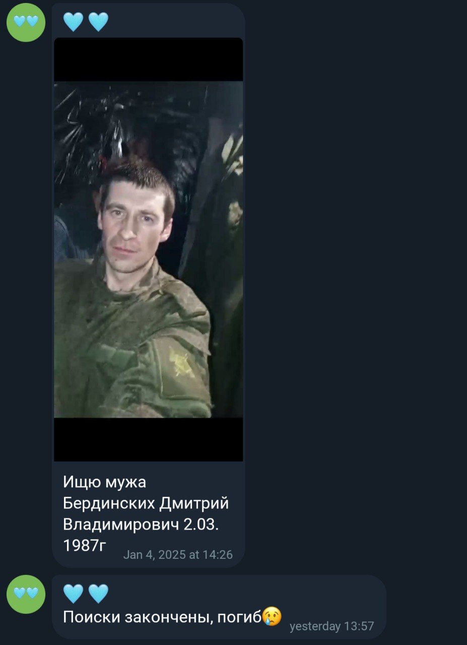 Бердинских Дмитрий Владимирович