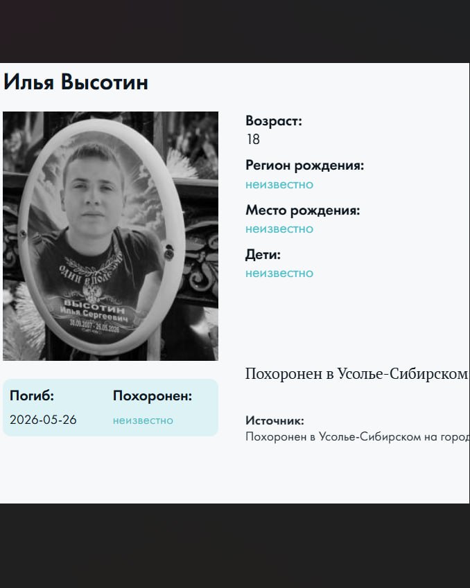 Высотин Илья Сергеевич