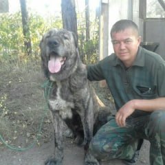 Aitov Ilgam Niyazovich
