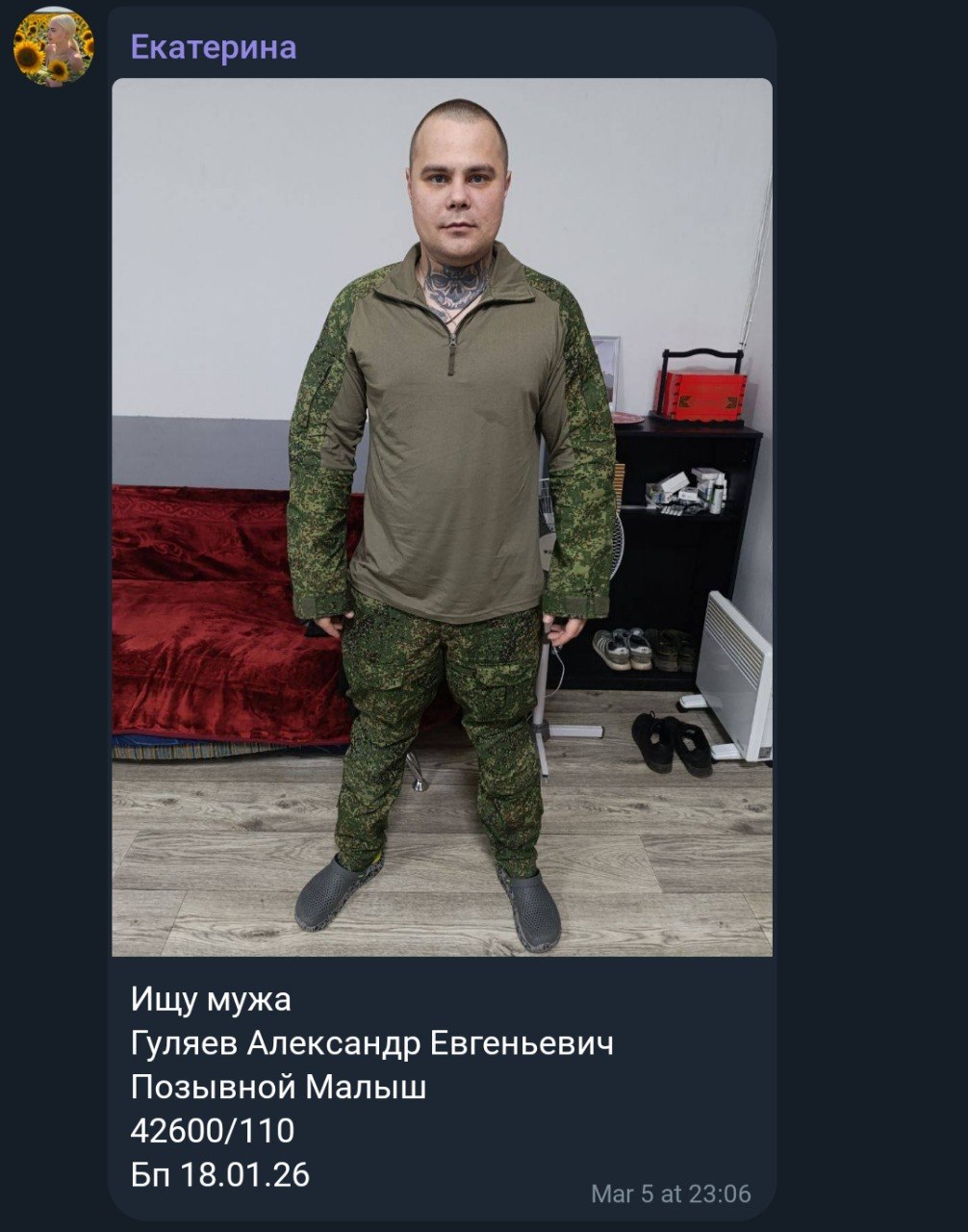Gulyaev Aleksandr Evgenevich