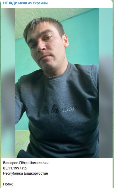 Basharov Petr Shamilevich