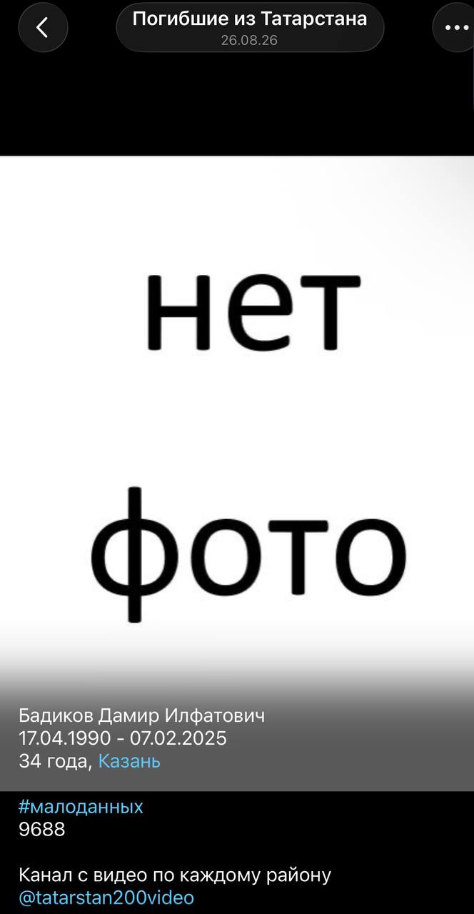 Бадиков Дамир Илфатович