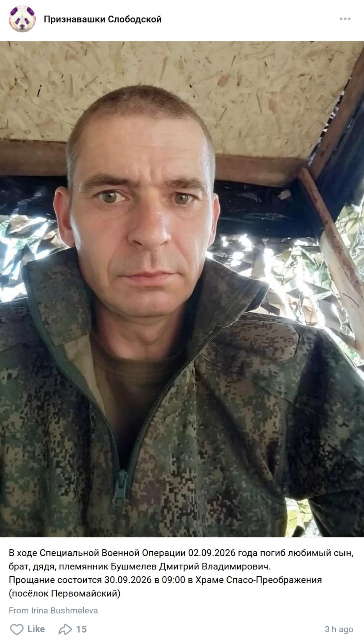 Bushmelev Dmitriy Vladimirovich