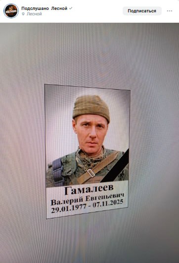 Gamaleev Valeriy Evgenevich