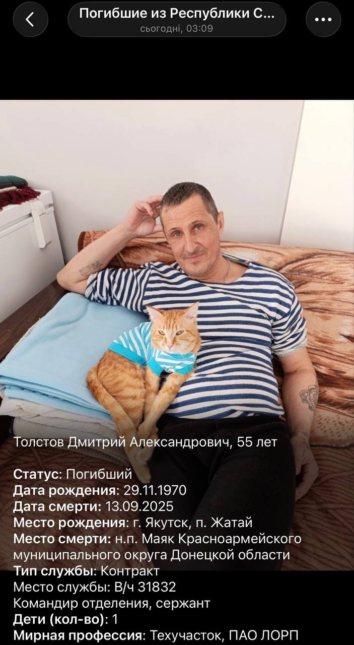 Толстов Дмитрий Александрович