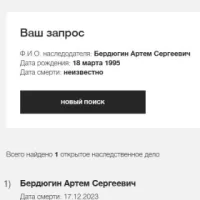 Berdyugin Artem Sergeevich