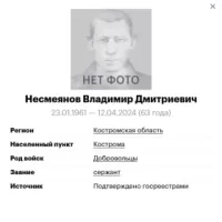 Nesmeyanov Vladimir Dmitrievich