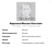 Videneev Mikhail Olegovich