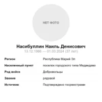 Насибуллин Наиль Денисович