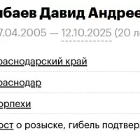 Шибаев Давид Андреевич
