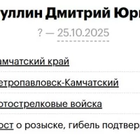 Gaynullin Dmitriy Yurevich