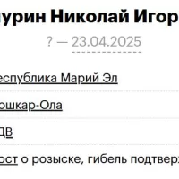 Chepurin Nikolay Igorevich