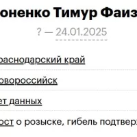 Вороненко Тимур Фаизович