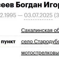 Eliseev Bogdan Igorevich