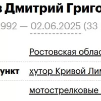 Salimov Dmitriy Grigorevich