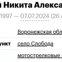 Shelkovoy Nikita Aleksandrovich