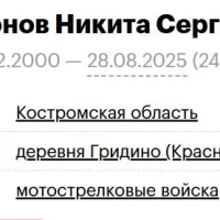 Горюнов Никита Сергеевич