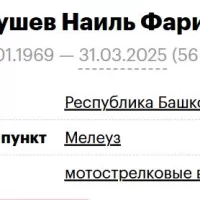 Bikkushev Nail Faritovich