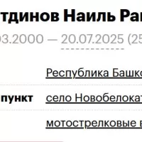 Gimalitdinov Nail Ramilevich