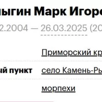 Kulygin Mark Igorevich