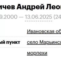 Malanichev Andrey Leonidovich