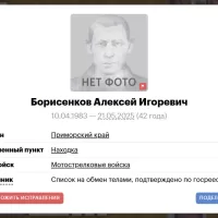 Borisenkov Aleksey Igorevich